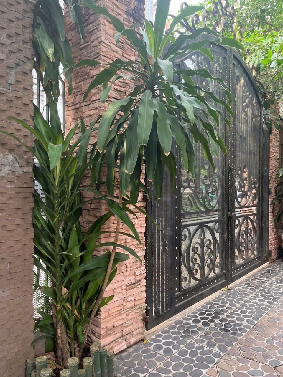Cần bán Nhà mặt tiền Phường Bình Trưng Đông, Quận 2, Diện tích 309m², Giá 26 Tỷ 8