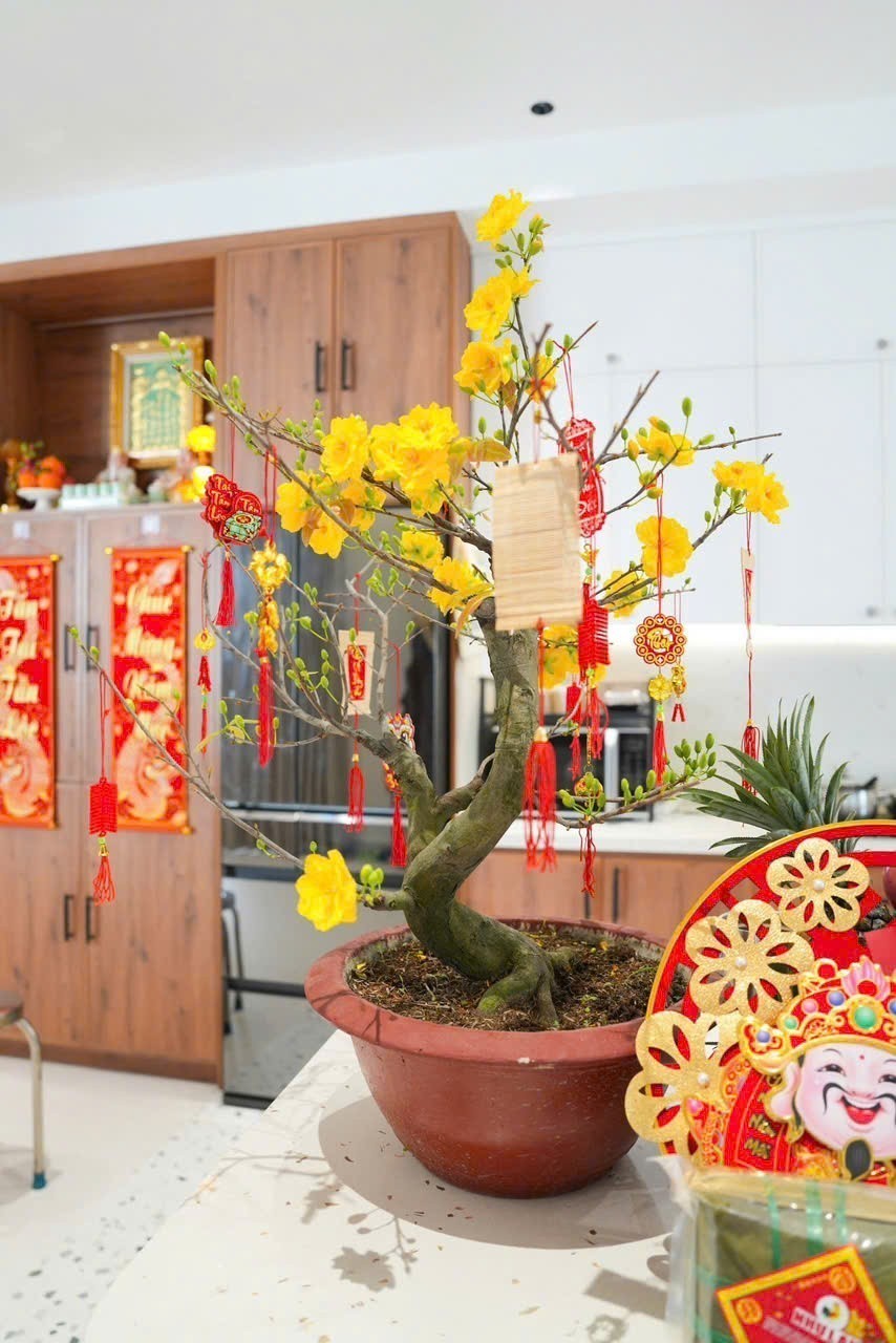 Cần bán Nhà mặt tiền Phường Phú Thuận, Quận 7, Diện tích 157m², Giá 18.5 Tỷ 22