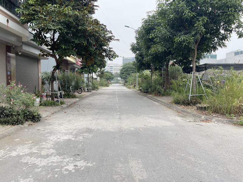 Cần bán đất TĐC Trâu Quỳ, Gia Lâm: 60m2, mặt tiền 4,58m, view vườn hoa siêu thoáng 2