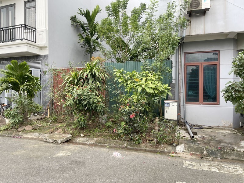 Cần bán đất TĐC Trâu Quỳ, Gia Lâm: 60m2, mặt tiền 4,58m, view vườn hoa siêu thoáng 4
