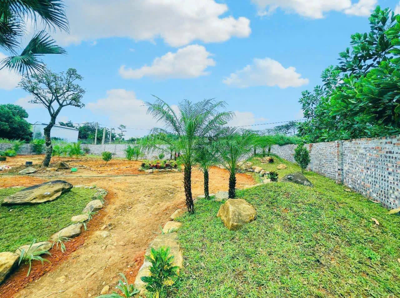 BÁN NHANH GIÁ ĐẦU TƯ 14TR 863M YÊN XUÂN QUỐC OAI SÁT TRỤC CHÍNH VIEW THOÁNG MÁT ĐƯỜNG 3 ÔTÔ 4