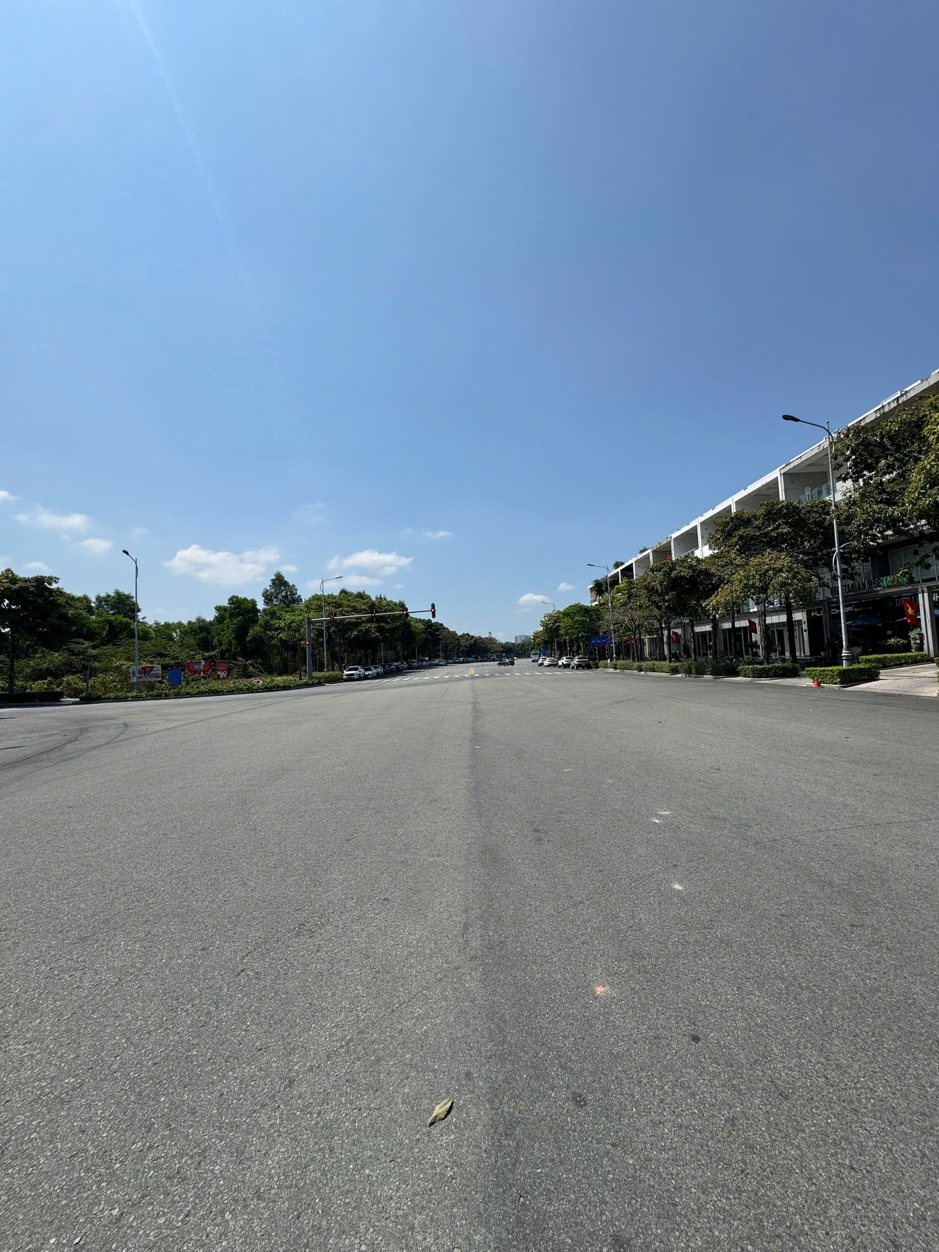 Cần bán Nhà mặt tiền Phường An Lợi Đông, Quận 2, Diện tích 173m², Giá 170 Tỷ 3