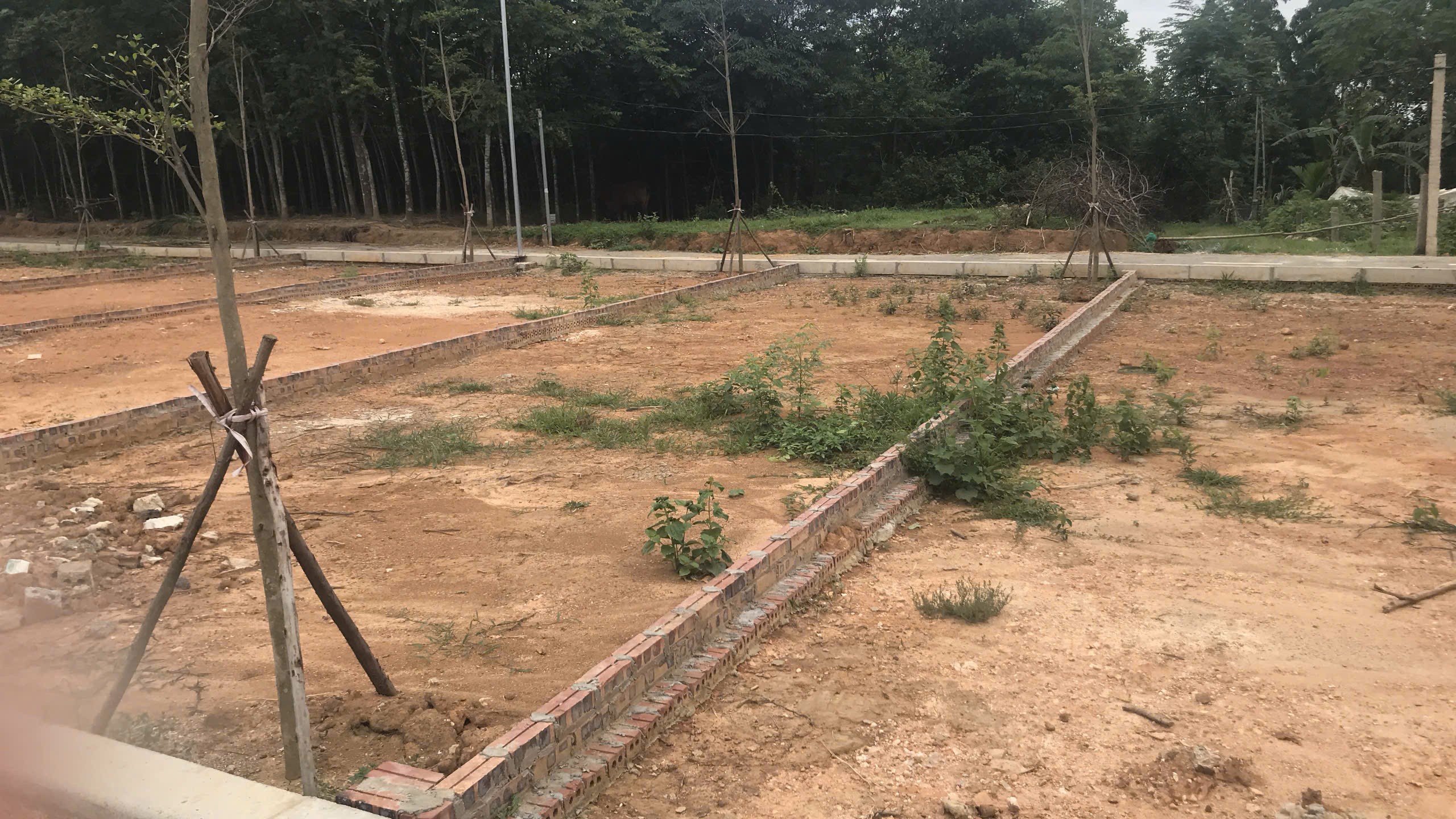 Lô góc mặt tiền 6m Cổ Đông, Hòa Lạc 80m2 ngay QL21, CNC, ĐHQG giá 2 tỷ 4 2