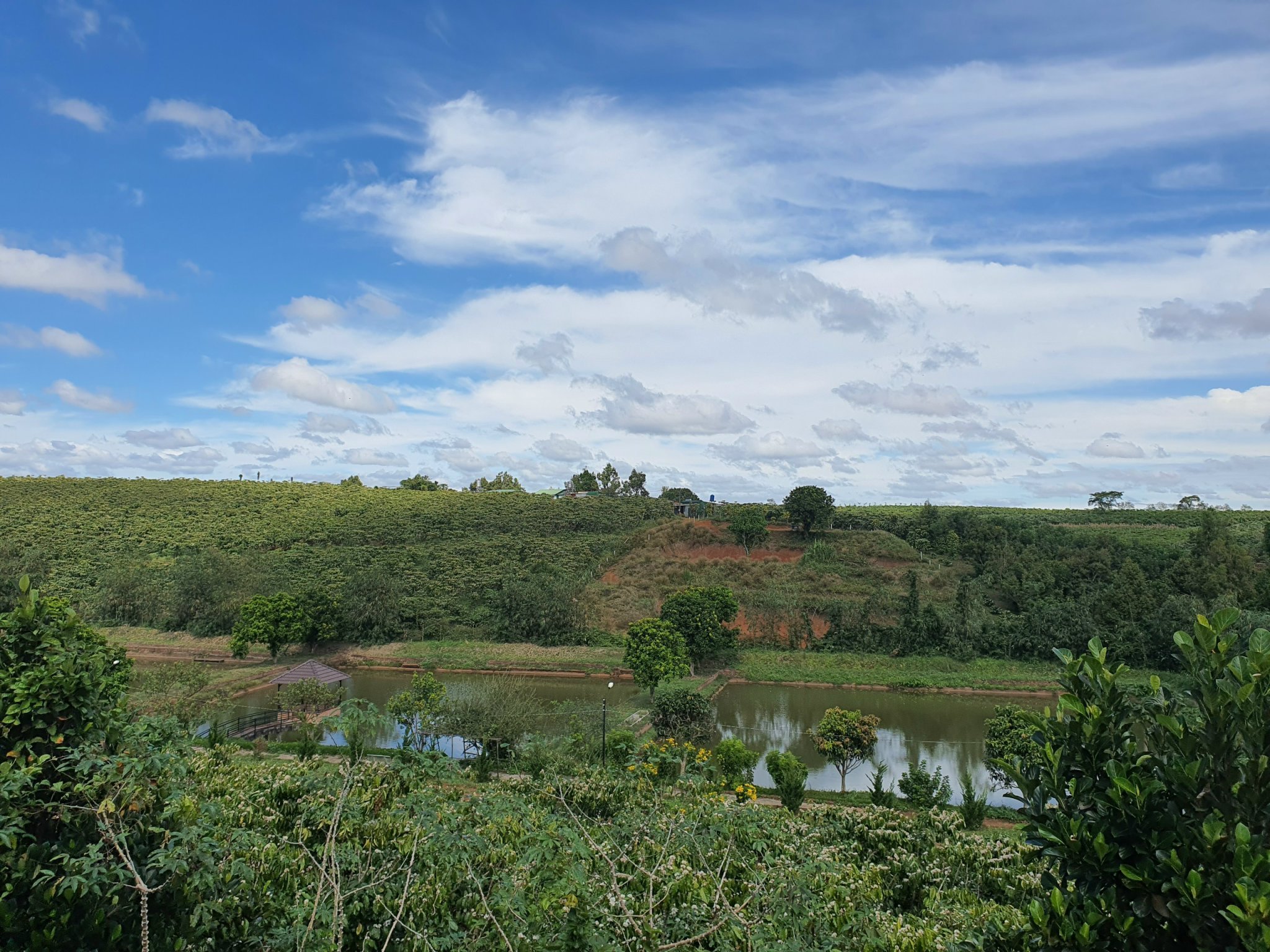 Bán đất lớn rộng 1,5ha ngay trung tâm TP Bảo Lộc thích hợp đầu tư, k.doanh, nghỉ dưỡng 3