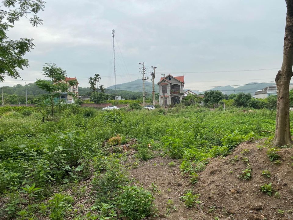 Cần bán Đất Xã Bình Khê, Đông Triều, Diện tích 229m², Giá Thương lượng