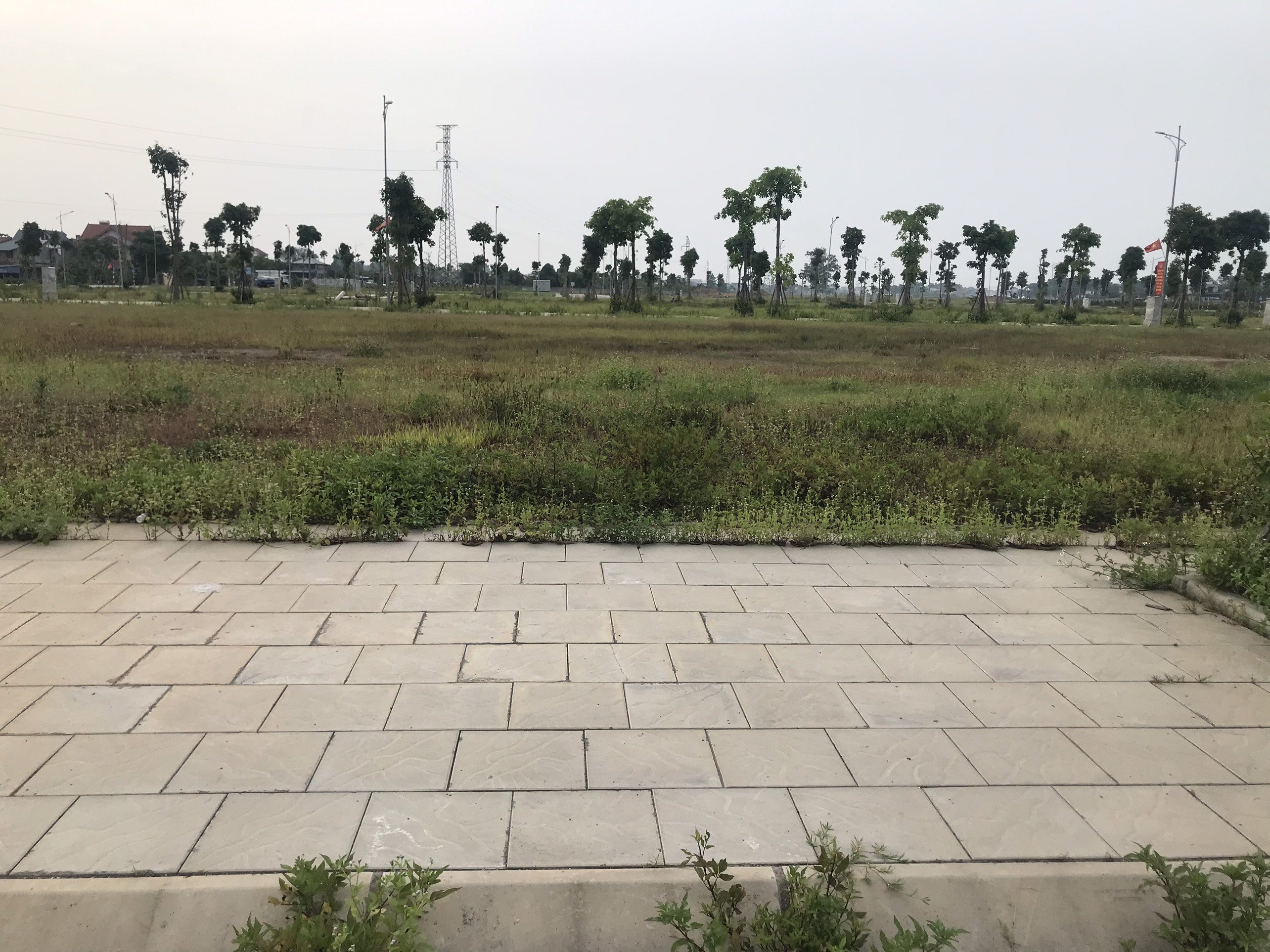Cần bán Đất dự án Khu đô thị Việt Hàn, Diện tích 100m², Giá 17 Triệu/m² 5