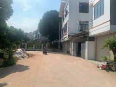 Cần bán Đất Xã Xuân Quan, Văn Giang, Diện tích 520m², Giá 52 Triệu/m²