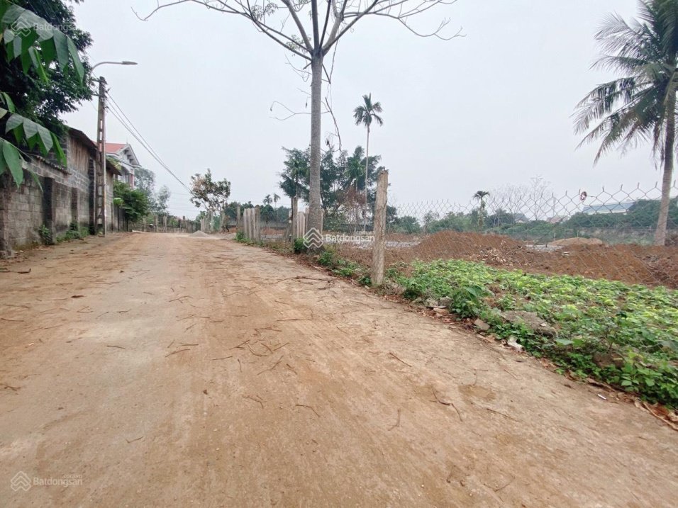 Cần bán Đất đường Tỉnh lộ 414, Xã Xuân Sơn, Diện tích 1332m², Giá 21 Triệu/m²