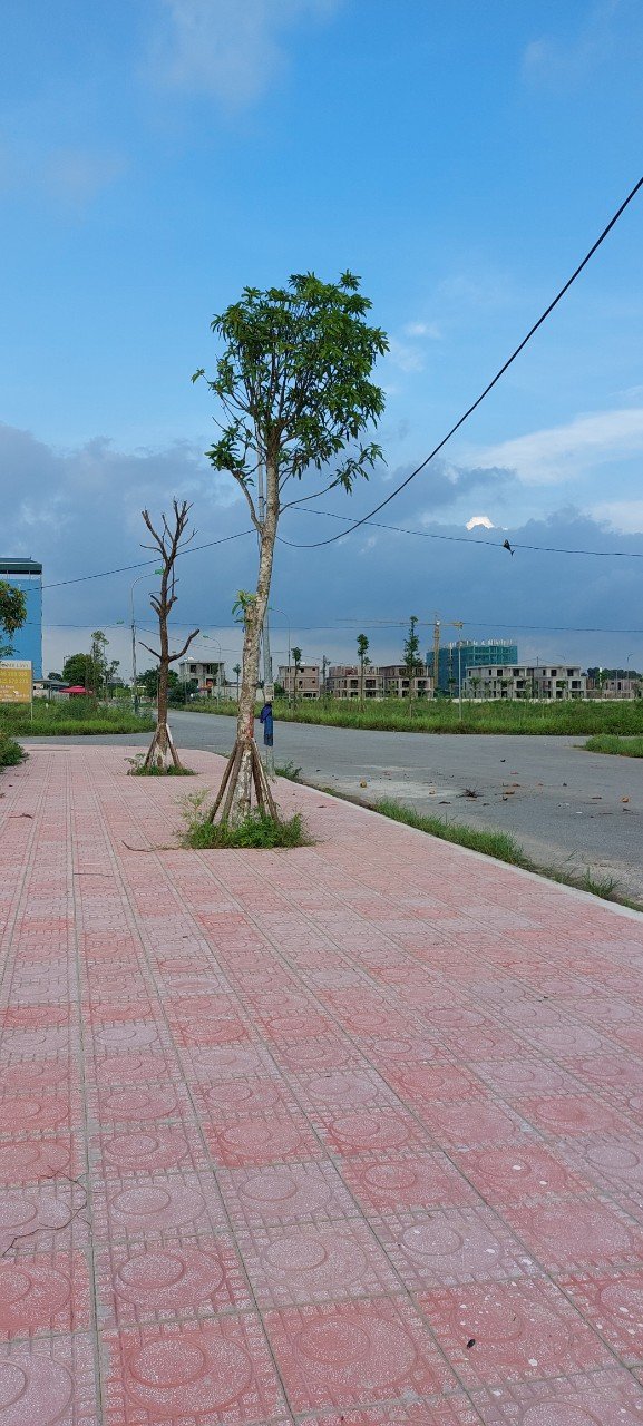 Cần bán Đất dự án Khu đô thị Cienco 5 Mê Linh, Diện tích 300m², Giá 21 Triệu/m² 3