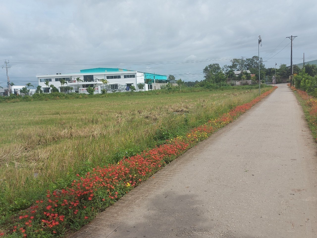 Cần bán Đất đường Dal, Xã An Ninh, Diện tích 250m², Giá 550 Triệu 1