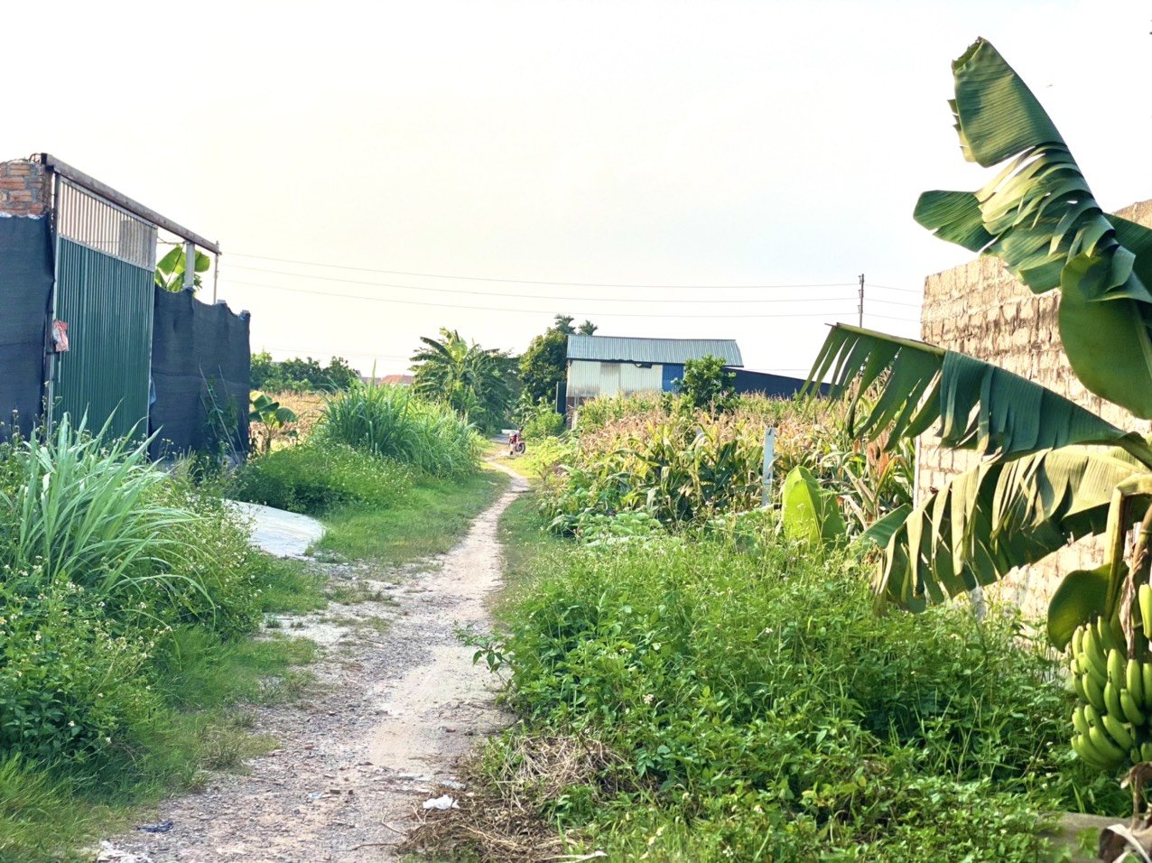 Đất vườn 50 năm tại Sài Sơn, DT: 660m, MT:17m, ngõ thông, ô tô vào đất. Giá nhỉnh tỷ 2