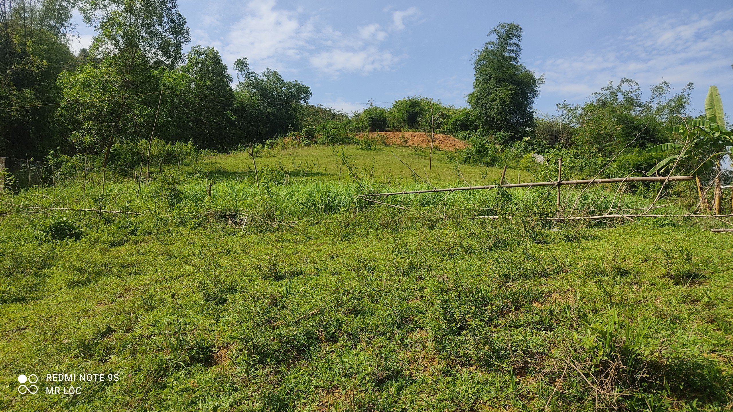 Cần bán Đất Xã Cao Răm, Lương Sơn, Diện tích 2900m², Giá Thương lượng 6