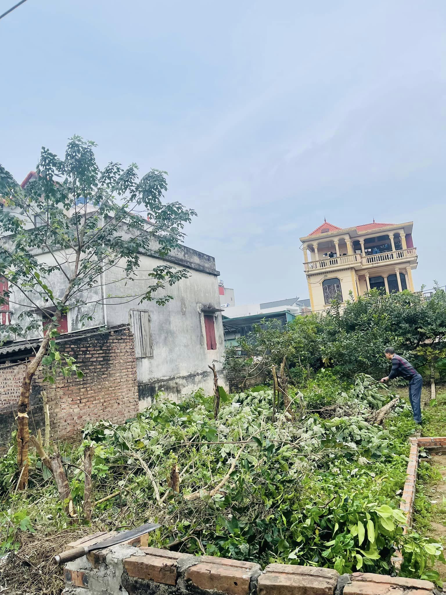 MẢNH ĐẤT VÀNG NGÕ TỰ DO 1 CỰ KHỐI-127M 9TỶ-LÔ GÓC-ÔTÔ VÀO ĐẤT-CHIA LÔ ĐẦU TƯ