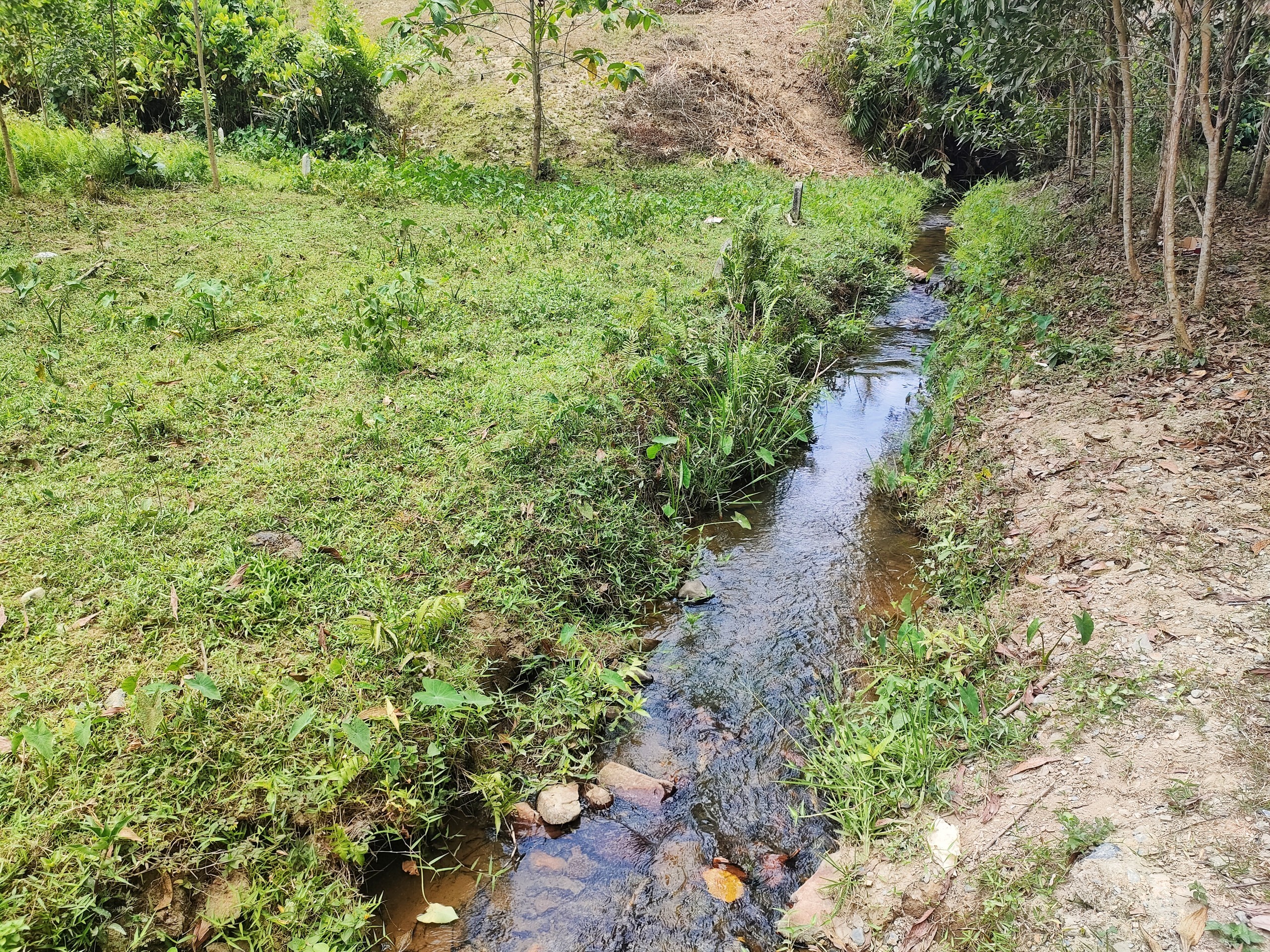 Bán đất vườn Khánh Thượng giá rẻ giáp suối chảy quanh năm 1