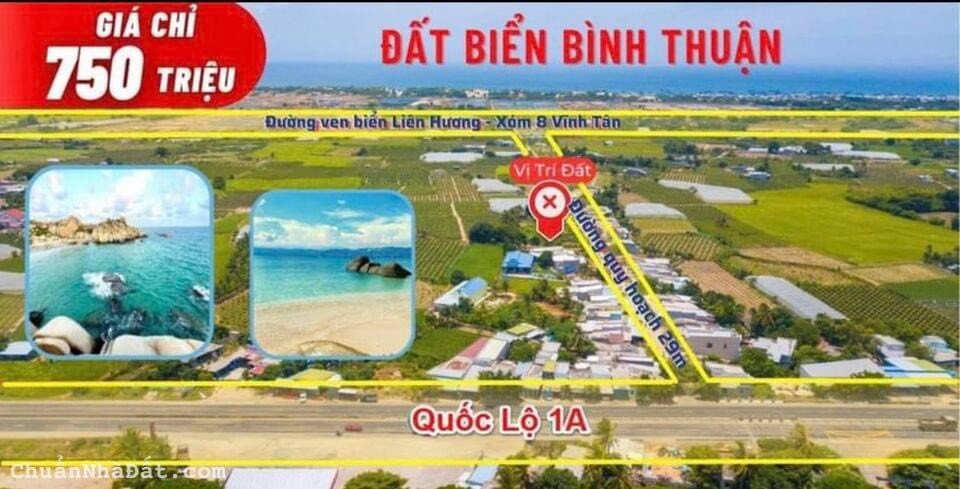 Lô đất thổ cư ven biển Bình Thuận cách quốc lộ 1A chưa tới 500m 2