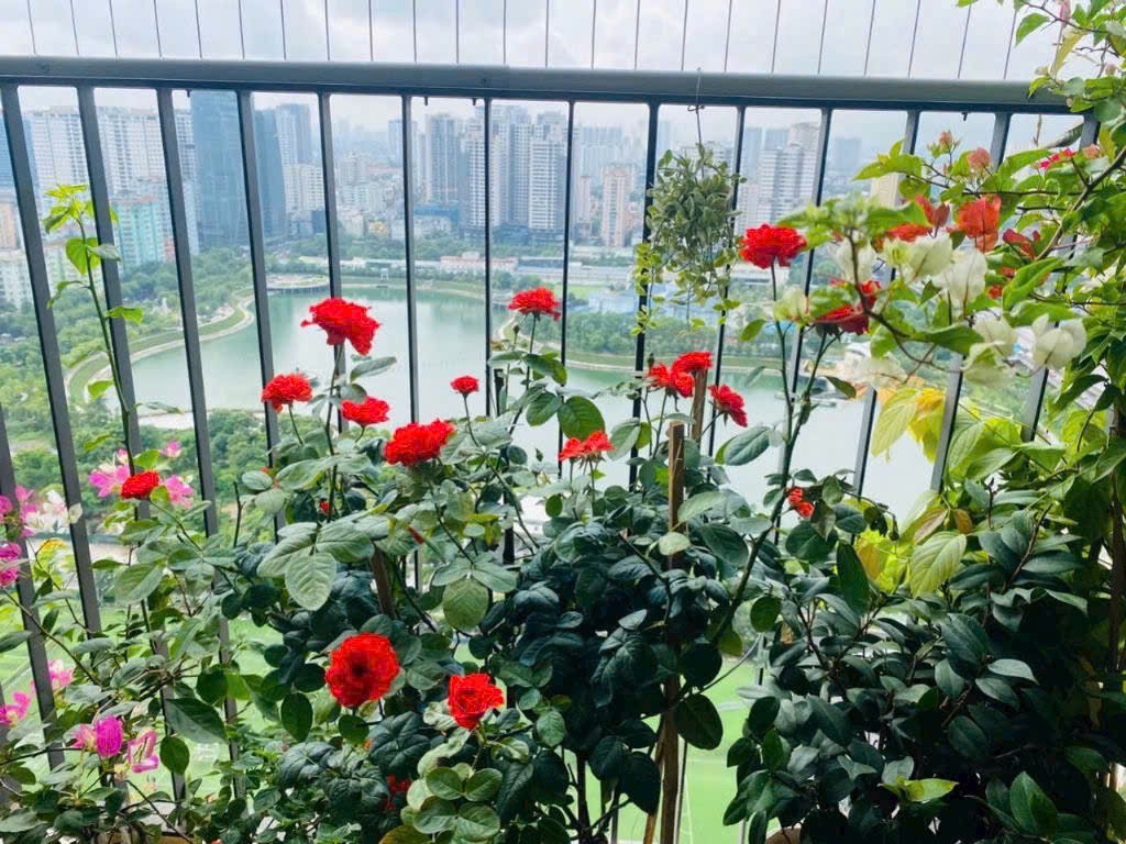 Bán 2PN - VINHOMES D'CAPITALE, Trục đẹp VIEW HỒ tòa C6 mát rượi