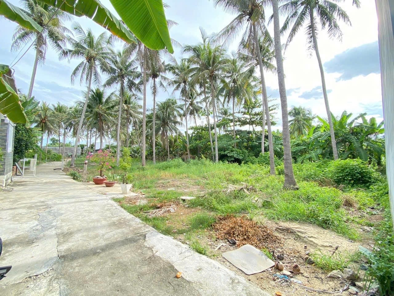 BÁN NHANH LÔ ĐẤT HẺM TỔ 14 NGỌC THẢO - NGỌC HIỆP-Giá bán 1 tỷ 480 triệu bớt lộc vui vẻ. Ko