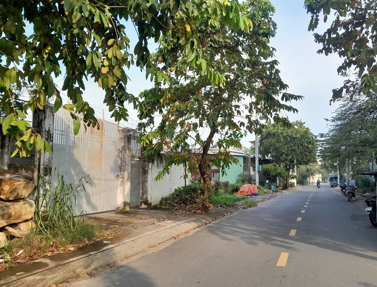 2592m2 có 26 tỷ x Nguyễn Thị Điệp Đông Thạnh Hóc Môn TP. Hồ Chí Minh 2