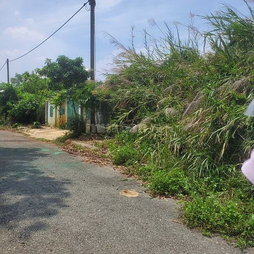 Bán gấp 1 vài lô đất, khu dân cư Đông Dương Đường Bưng Ông Thoàn, phường Phú Hữu, TP Thủ Đức. 2