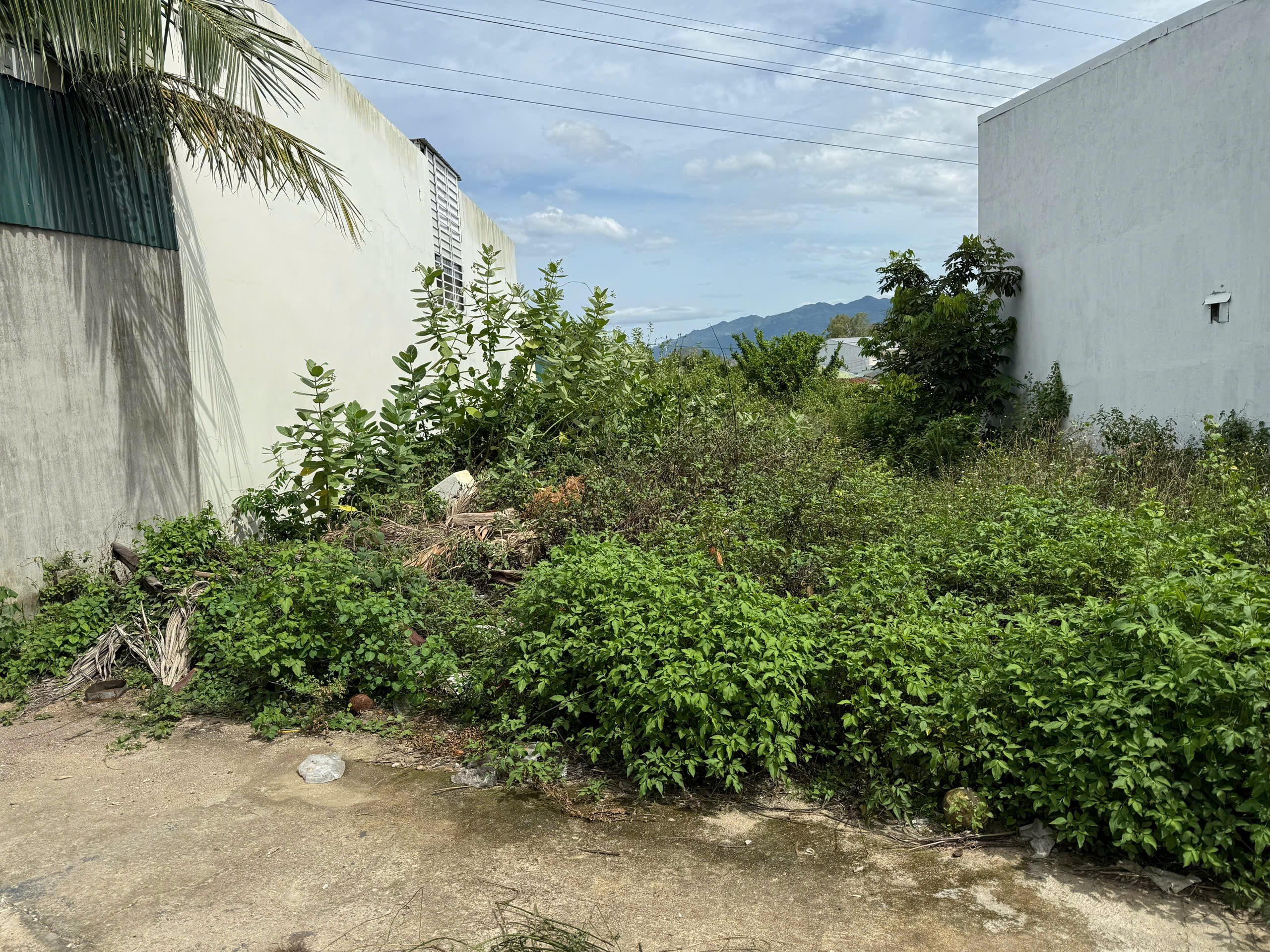 BÁN LÔ ĐẤT VĨNH PHƯƠNG - NHA TRANG.-- Giá : Chỉ 780tr ( bớt lộc 4