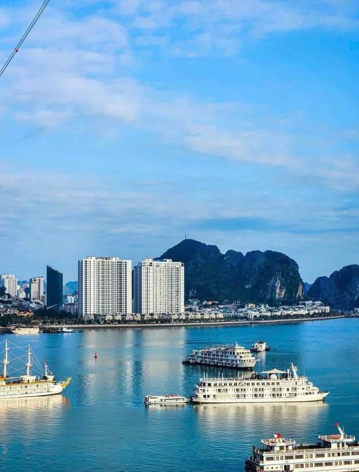 Cần bán Căn hộ chung cư Phường Bãi Cháy, Hạ Long, Diện tích 53m², Giá Thương lượng