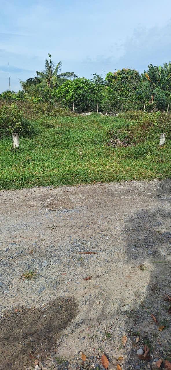 Cần bán Đất đường Tỉnh Lộ 7, Xã Trung Lập Hạ, Diện tích 100m², Giá 550 Triệu 3