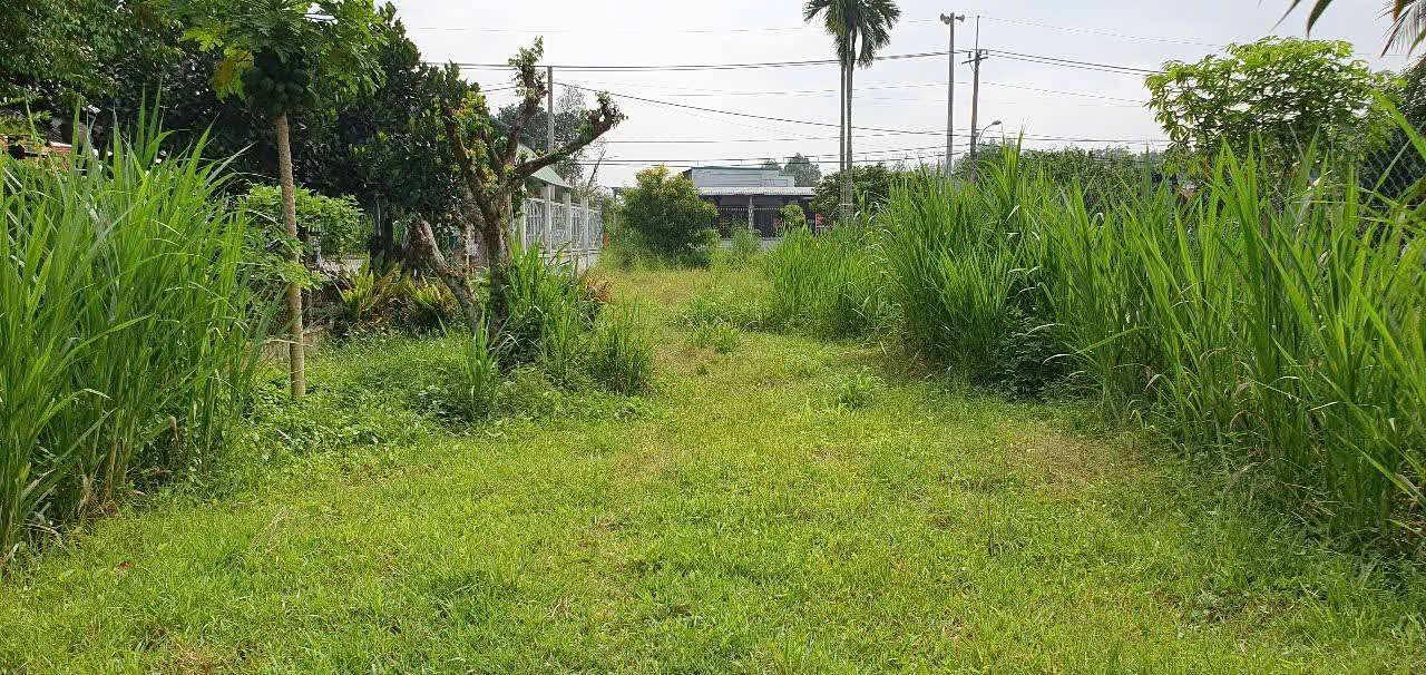 Cần bán Đất đường Trung Lập, Xã Trung Lập Thượng, Diện tích 221m², Giá 800 Triệu 4