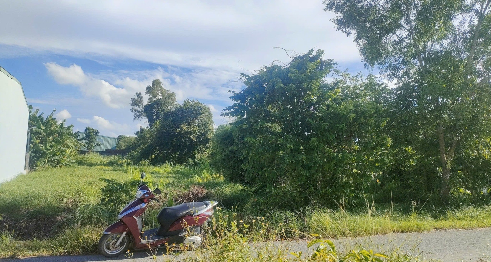 Cần bán Đất Xã Tân Phú Trung, Củ Chi, Diện tích 135m², Giá 550 Triệu 3