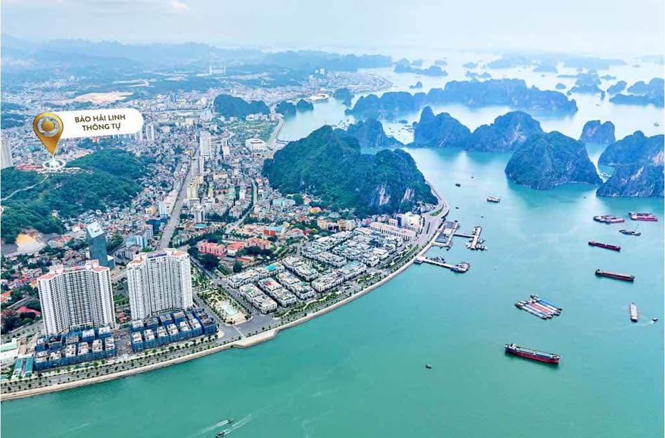 Cần bán Căn hộ chung cư đường Hoàng Quốc Việt, Phường Bãi Cháy, Diện tích 38m², Giá Thương lượng 6