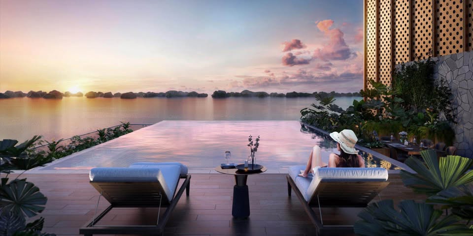 Cần bán Căn hộ chung cư đường Hoàng Quốc Việt, Phường Bãi Cháy, Diện tích 242m², Giá 12.8 Tỷ 3