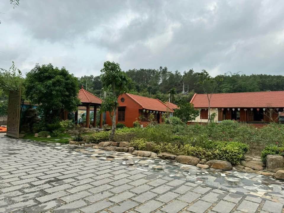 Cần bán Đất Phường Bãi Cháy, Hạ Long, Diện tích 5426m², Giá Thương lượng 2