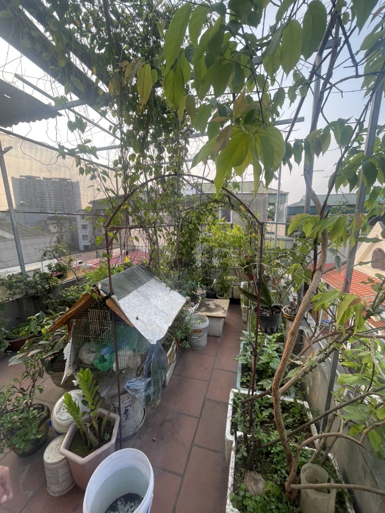 BÁN NHÀ KIM GIANG, HOÀNG MAI, PHÂN LÔ QUÂN ĐỘI, Ô TÔ ĐỖ CỬA, 38M2, 8.75TỶ(CTL) 4