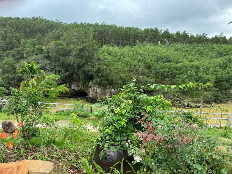 Cần bán Đất Phường Bãi Cháy, Hạ Long, Diện tích 5426m², Giá Thương lượng 3