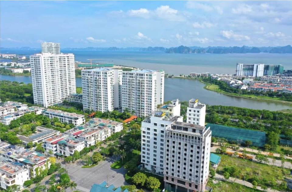 Cần bán Căn hộ chung cư đường Hoàng Quốc Việt, Phường Bãi Cháy, Diện tích 70m², Giá 1.62 Tỷ