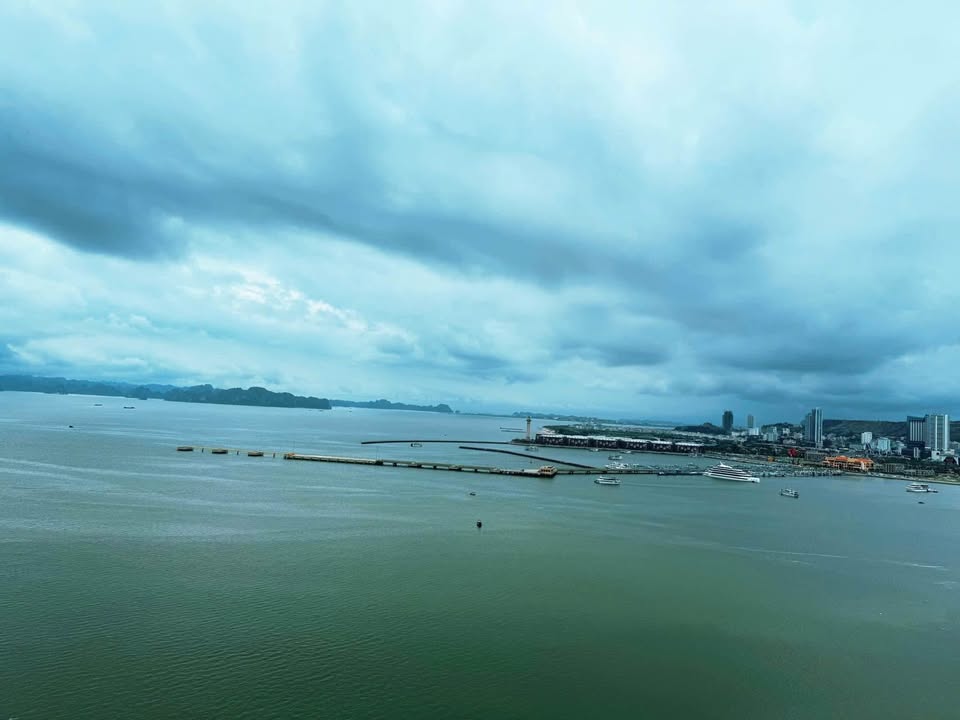 Cần bán Căn hộ chung cư đường Hoàng Quốc Việt, Phường Bãi Cháy, Diện tích 37m², Giá Thương lượng