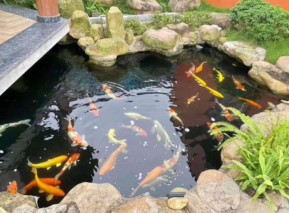 Cần bán Đất Phường Bãi Cháy, Hạ Long, Diện tích 5426m², Giá Thương lượng 4