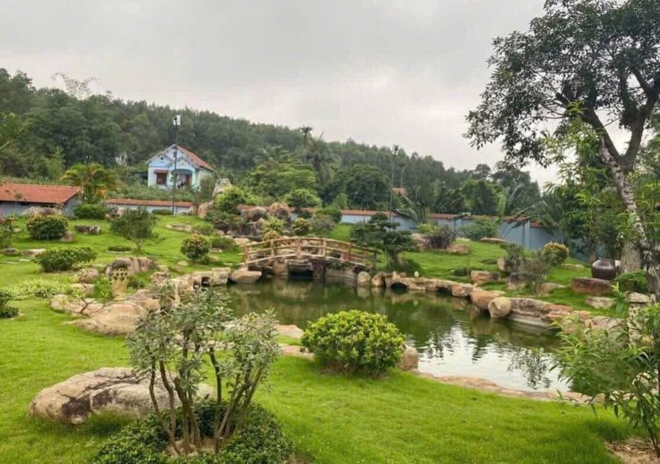 Cần bán Đất Phường Bãi Cháy, Hạ Long, Diện tích 5426m², Giá Thương lượng 5