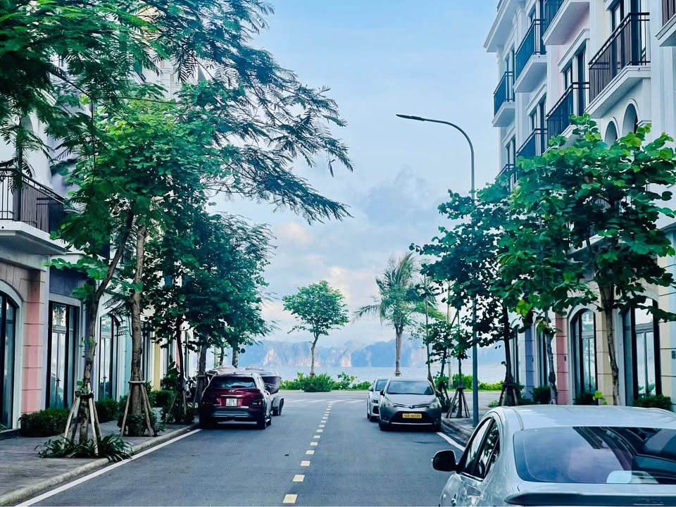 Cần bán Căn hộ chung cư đường Hoàng Quốc Việt, Phường Bãi Cháy, Diện tích 81m², Giá 7.5 Tỷ 3