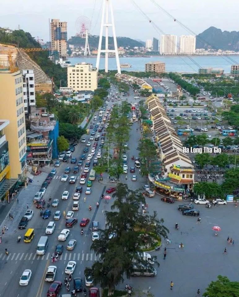 Cần bán Căn hộ chung cư đường Hoàng Quốc Việt, Phường Bãi Cháy, Diện tích 48m², Giá 1.15 Tỷ 7