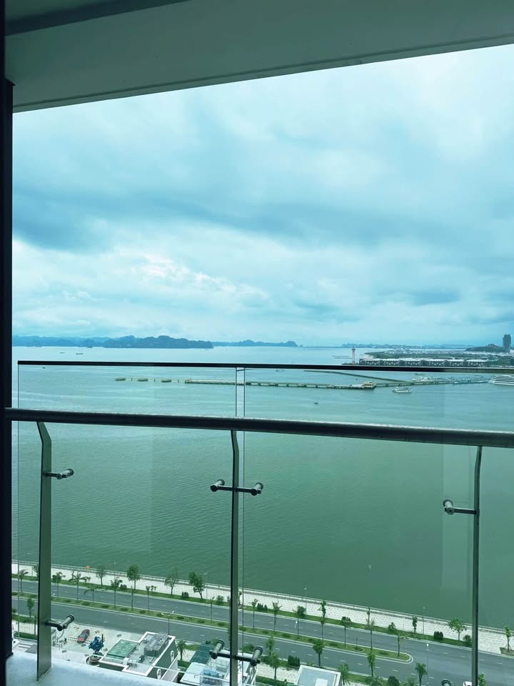 Cần bán Căn hộ chung cư đường Hoàng Quốc Việt, Phường Bãi Cháy, Diện tích 37m², Giá Thương lượng 8