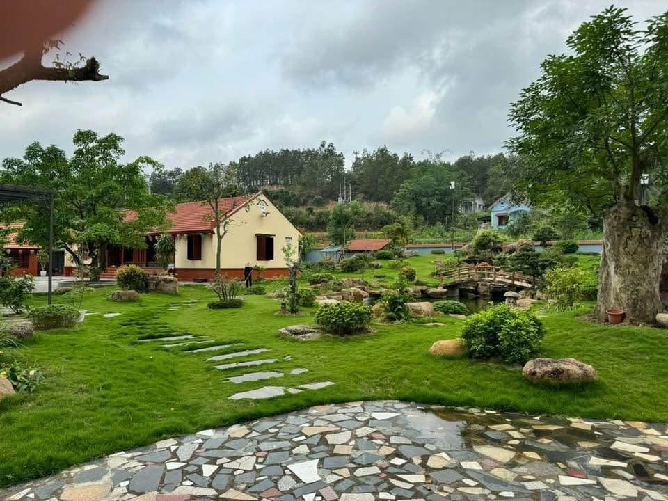 Cần bán Đất Phường Bãi Cháy, Hạ Long, Diện tích 5426m², Giá Thương lượng 6
