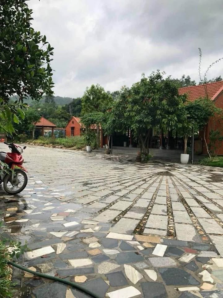 Cần bán Đất Phường Bãi Cháy, Hạ Long, Diện tích 5426m², Giá Thương lượng 7