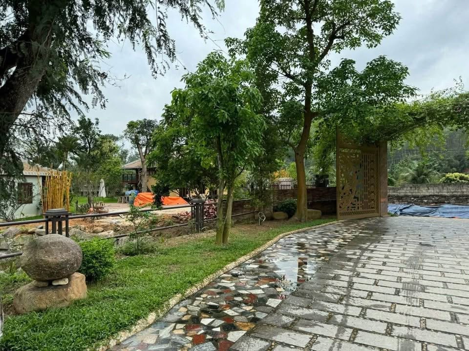 Cần bán Đất Phường Bãi Cháy, Hạ Long, Diện tích 5426m², Giá Thương lượng 8