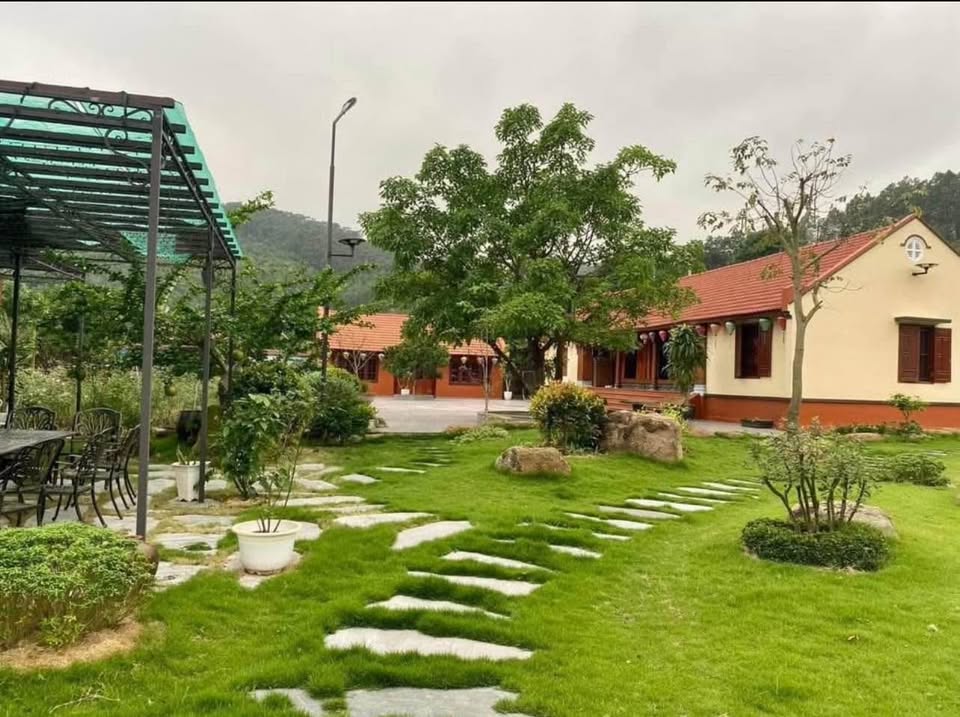 Cần bán Đất Phường Bãi Cháy, Hạ Long, Diện tích 5426m², Giá Thương lượng 9