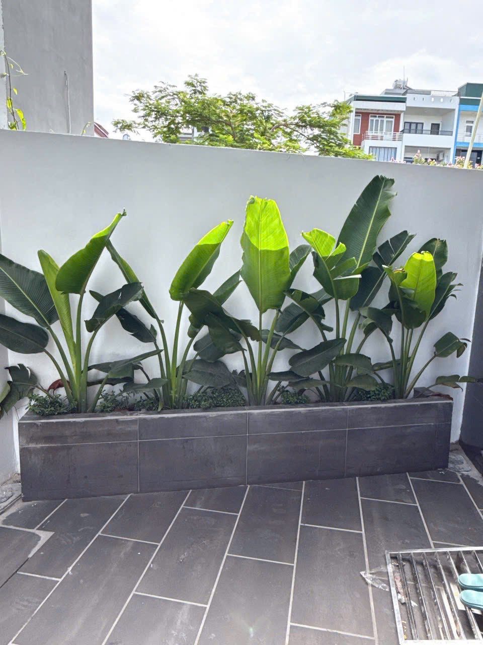 Bán nhà 3 tầng ngõ đường Nguyễn Lương Bằng, TP HD, 43.8m2, mt 7.2m, 3 ngủ, 2vs, 2.28 tỷ 6