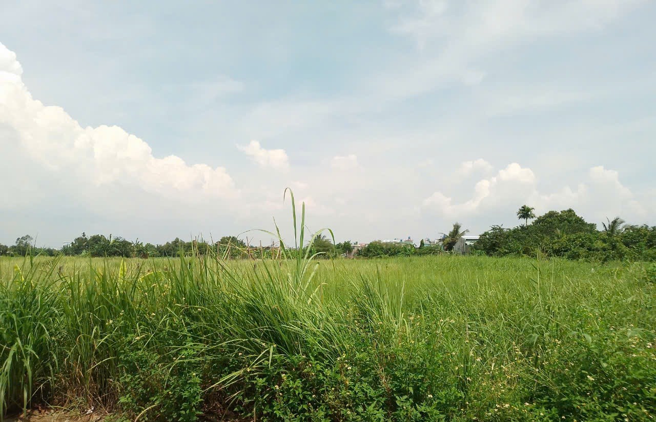 2592m2 có 26 tỷ x Nguyễn Thị Điệp Đông Thạnh Hóc Môn TP. Hồ Chí Minh 5