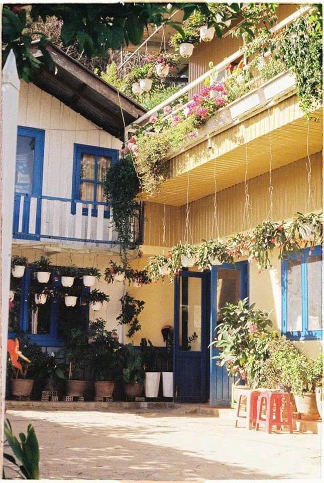 Cần tiền Bán gấp Homestay nhà gỗ sân vườn tại khu vực An Bình, P3, Đà Lạt Giá chỉ 8.6 tỷ 3