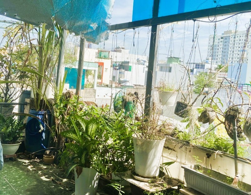 43m2 HXH Phú Thọ Hoà, sổ vuông nở hậu, nhỉnh 4 tỷ 4