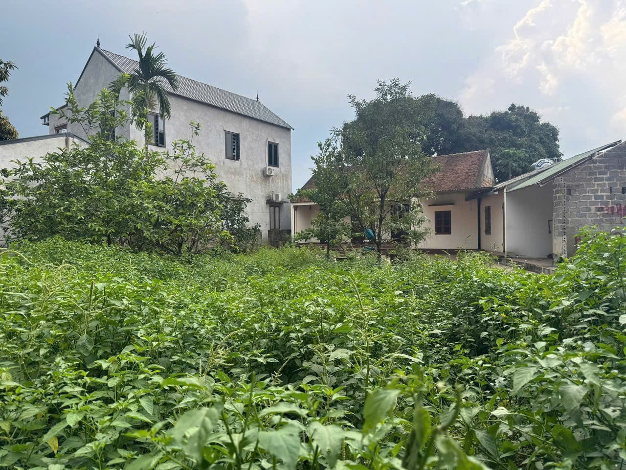 Khuôn Viên Đẹp tại Chương Mỹ. Nhỉnh 3 Tỷ 5