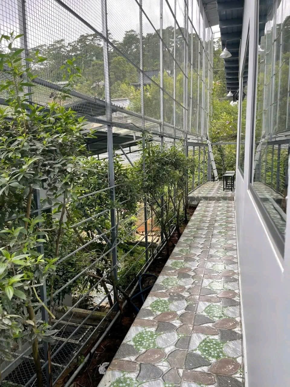 Cần tiền Bán gấp Nhà giá rẻ đường Đặng Thái Thân, P3, Đà Lạt 4